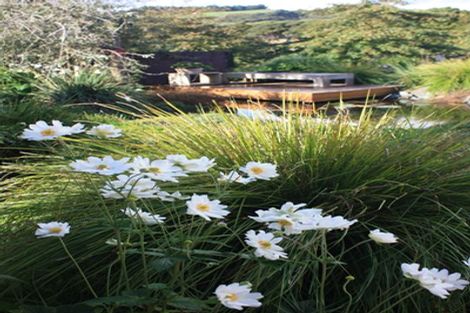 Photo of property in 58 Rauhori Road, Makarau, Kaukapakapa, 0873