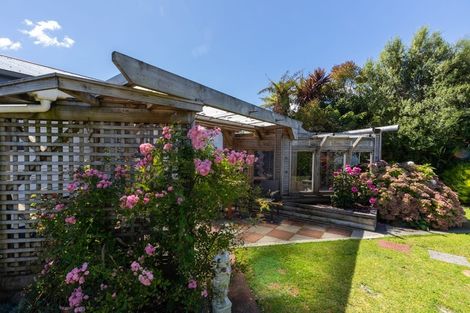 Photo of property in 11 Seyton Street, Stratford, 4332