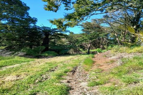 Photo of property in 403 Maungatawhiri Road, Raglan, 3295