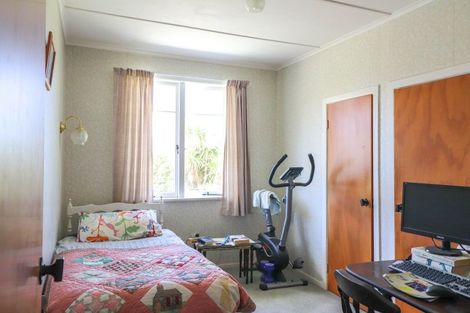 Photo of property in 131 Brunton Crescent, Thames, 3500