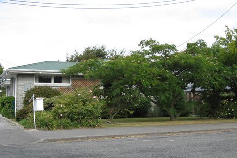 Photo of property in 17 Edward Street, Prebbleton, 7604