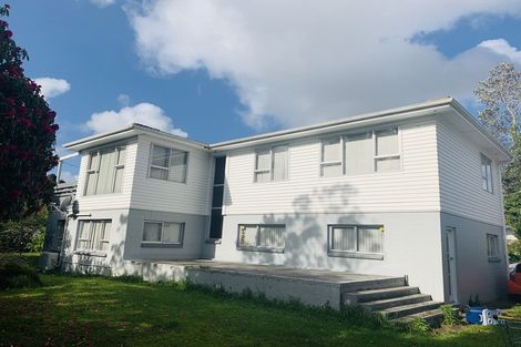 Photo of property in 117 Riverpark Crescent, Henderson, Auckland, 0610