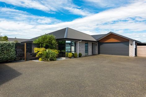 Photo of property in 113a Old Renwick Road, Springlands, Blenheim, 7201