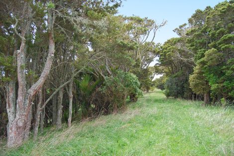 Photo of property in 542e Oneriri Road, Kaiwaka, 0573