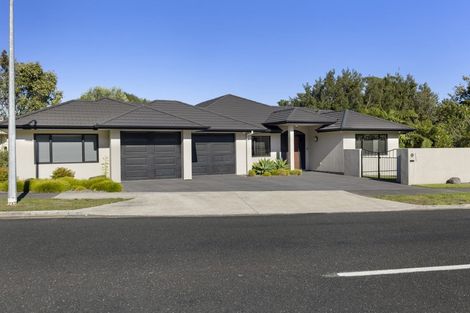 Photo of property in 227 Heta Road, Merrilands, New Plymouth, 4312