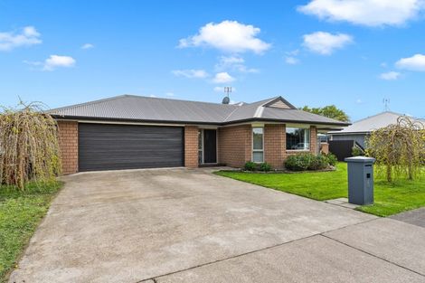 Photo of property in 6 Gimson Street, Solway, Masterton, 5810