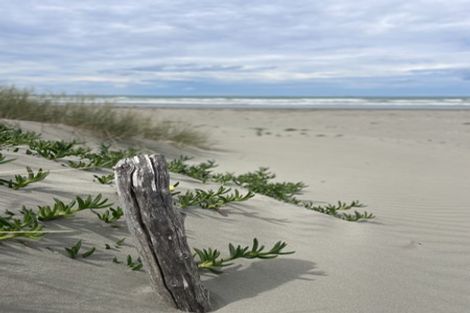 Photo of property in 179a Rocking Horse Road, Southshore, Christchurch, 8062