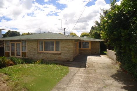 Photo of property in 9 Bent Street, Putaruru, 3411