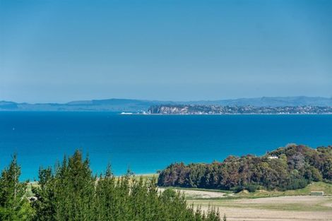 Photo of property in State Highway 2, Tangoio, Napier, 4182