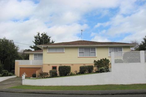Photo of property in 1 Argyle Avenue, Levin, 5510