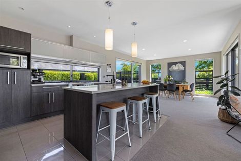 Photo of property in 17 Tauhinu Avenue, Lincoln, 7608