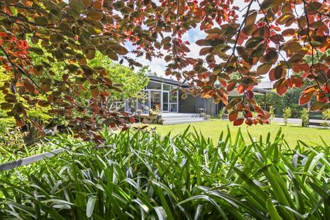 Photo of property in 90 Derby Street, Feilding, 4702