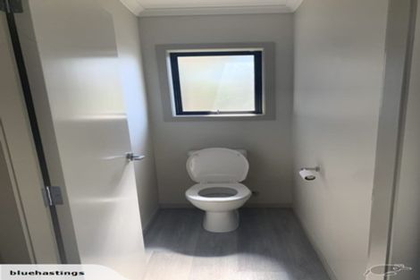 Photo of property in 27 Thomson Avenue, Dinsdale, Hamilton, 3204