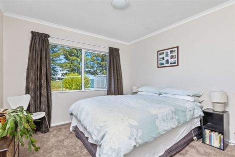 Photo of property in 388 Bidwills Cutting Road, Morison Bush, Greytown, 5794