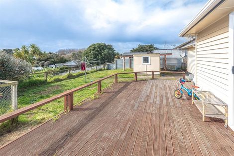 Photo of property in 38 Puriri Street, Gonville, Whanganui, 4501