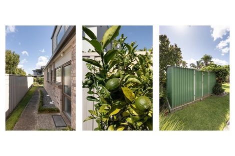 Photo of property in 87b Grace Road, Tauranga South, Tauranga, 3112