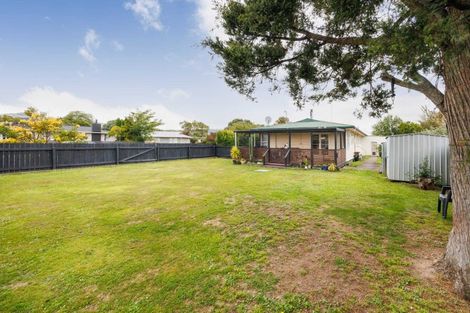 Photo of property in 127 Stanford Street North, Ashhurst, 4810