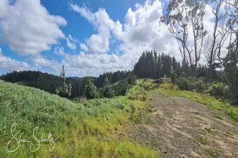 Photo of property in 872 Bickerstaffe Road, Maungaturoto, 0587