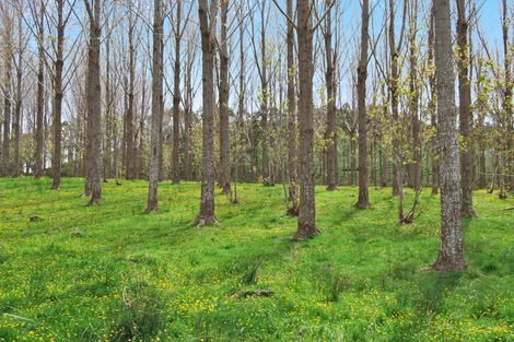 Photo of property in 542e Oneriri Road, Kaiwaka, 0573