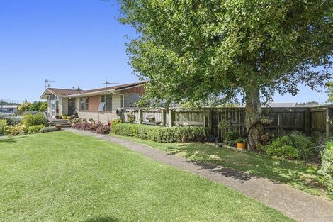Photo of property in 100 Centennial Avenue, Waitara, 4320