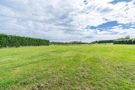 Photo of property in 405 Mill Road North, Myross Bush, Invercargill, 9876