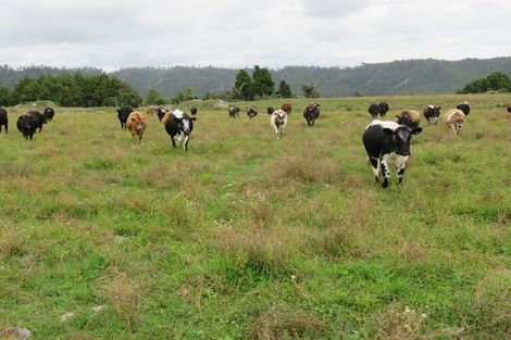 Photo of property in 24 Curries Road, Karamea, 7893