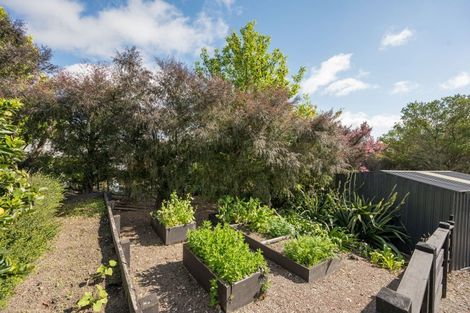 Photo of property in 8 Bright Lane, Redwood Valley, Richmond, 7081