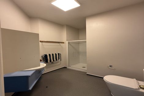 Photo of property in 262 Riddiford Street, Newtown, Wellington, 6021