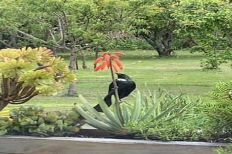 Photo of property in 7 Martin Loop, Tasman, Upper Moutere, 7175