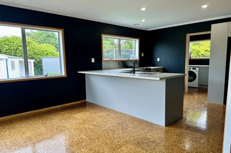 Photo of property in 137 Winchester Street, Ashhurst, 4810