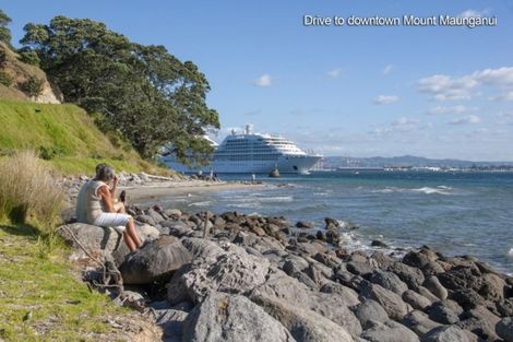 Photo of property in 48 Crane Street, Mount Maunganui, 3116