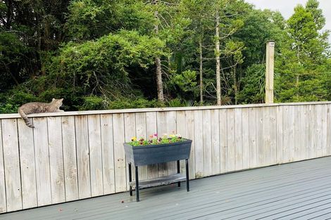 Photo of property in 21 Wi Apo Place, Wellsford, 0900