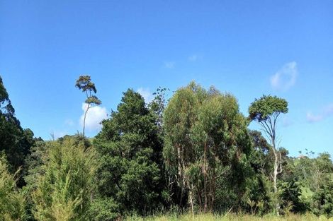 Photo of property in 91a Bald Hill Road, Waiuku, Pukekohe, 2678