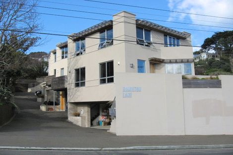 Photo of property in 59af1 Hamilton Road, Hataitai, Wellington, 6021