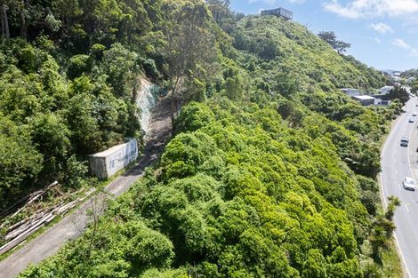 Photo of property in 344 Ohiro Road, Brooklyn, Wellington, 6021