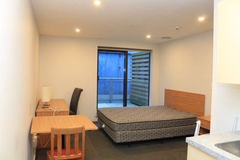 Photo of property in Dual Apartments, 108/142 Vivian Street, Te Aro, Wellington, 6011