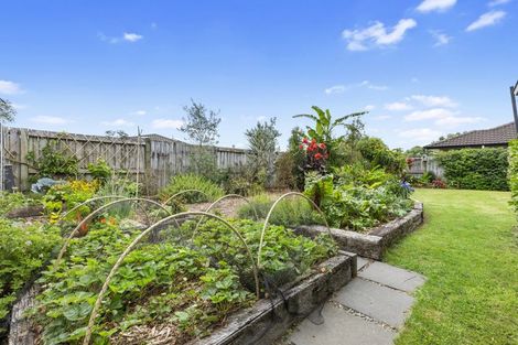 Photo of property in 50 Rosella Drive, Welcome Bay, Tauranga, 3112