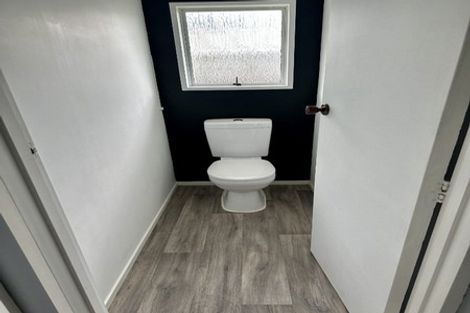 Photo of property in 137 Winchester Street, Ashhurst, 4810