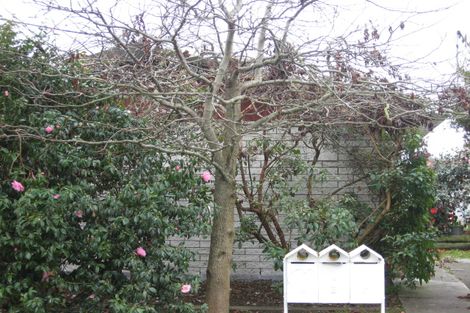 Photo of property in 5a Wilton Street, Levin, 5510