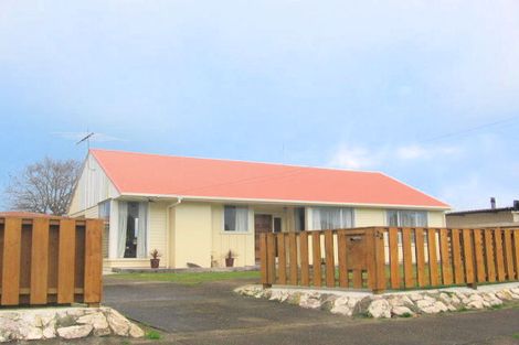 Photo of property in 22 Churcher Street, Feilding, 4702