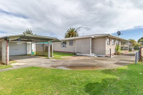Photo of property in 19 Balmoral Street, Levin, 5510