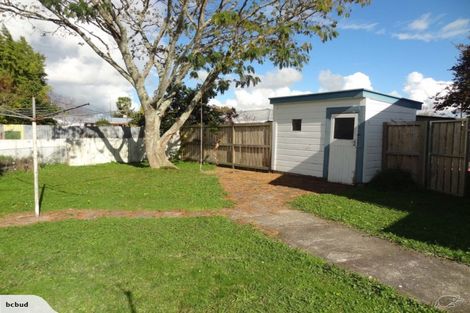 Photo of property in 15b Snell Street, Morrinsville, 3300