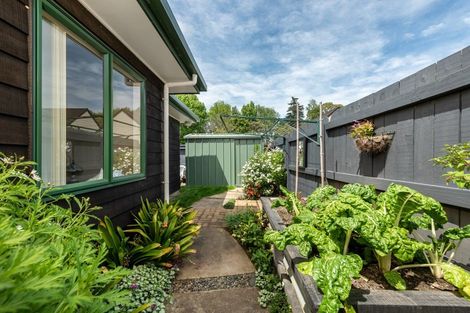 Photo of property in 9 Moffat Way, Bethlehem, Tauranga, 3110
