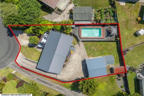 Photo of property in 39 Waianiwa Place, Tokoroa, 3420