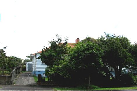 Photo of property in 12 Alford Street, Waterview, Auckland, 1026