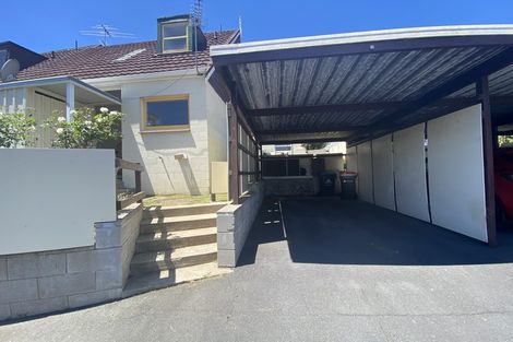 Photo of property in 3g Green Road, Panmure, Auckland, 1072