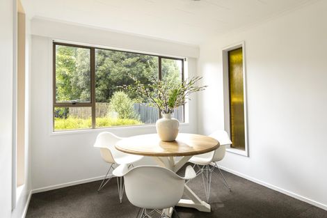 Photo of property in 29 Flatman Crescent, Geraldine, 7930