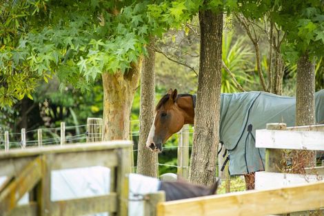 Photo of property in 428b Blackbridge Road, Dairy Flat, Albany, 0794