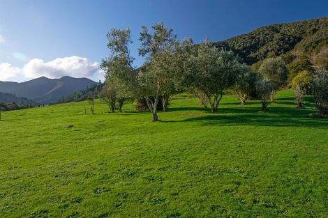 Photo of property in 566 Tunakino Valley, Rai Valley, 7194