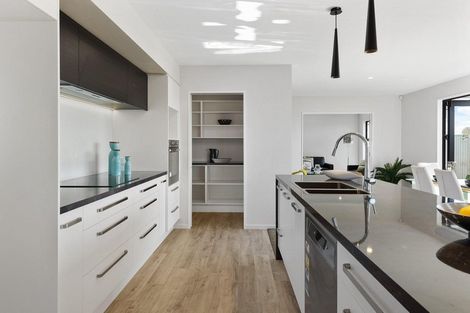 Photo of property in 22 Halpin Drive, Lincoln, 7608